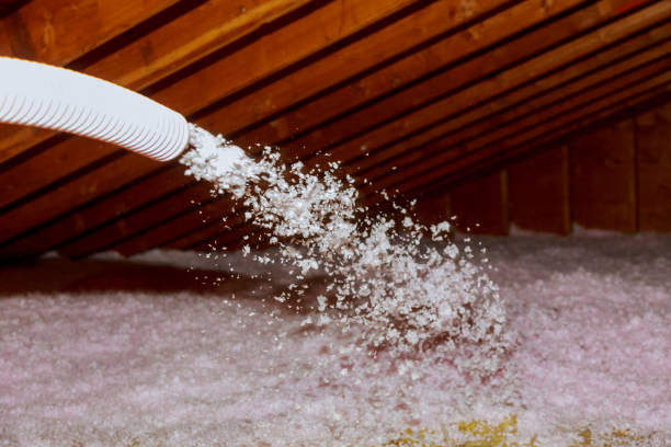 Best Specialized Insulation Services in Breinigsville, PA