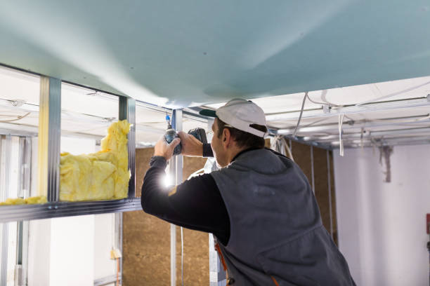 Best Eco-Friendly Insulation in Breinigsville, PA
